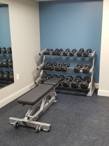 Free Weights
